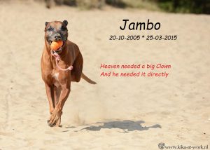 jambo-in-memoriam